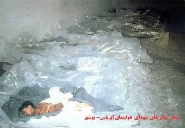 655 dead bodies 655 dead bodies
