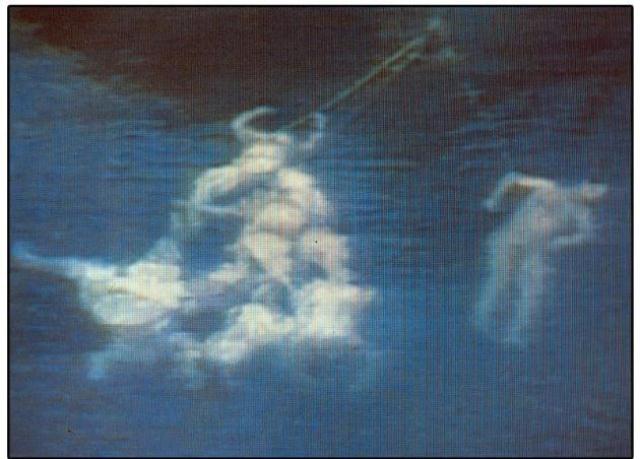655-bodies under water